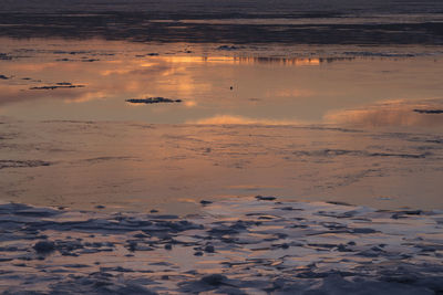 Tranquil scene at sunrise with duck in the partly frozen st. lawrence river 