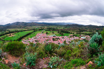 High angle view of plants and buildings against sky