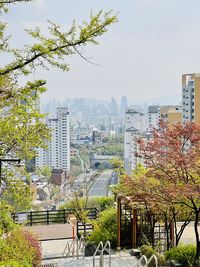 Trees and buildings in city against sky