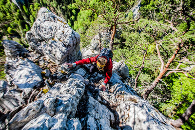 High angle view of man climbing rock formation against tree