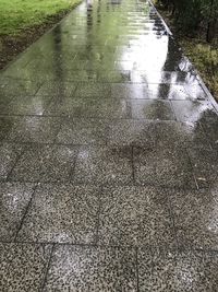 Reflection in puddle