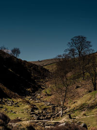 Scenic view of landscape against clear sky