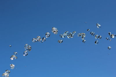 Low angle view of birds flying against clear blue sky