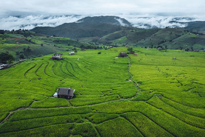 Scenic view of agricultural field against sky