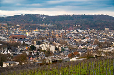 Vineyard with view of the ancient roman city of trier, the moselle valley in germany, landscape
