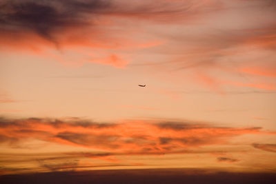 Silhouette bird flying against orange sky