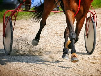 Low section of man riding horse