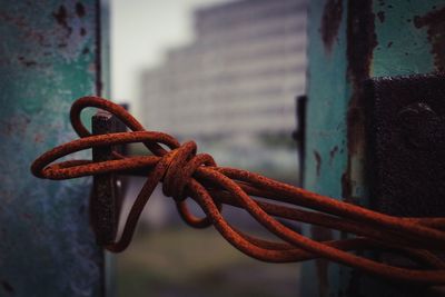 Rusty metallic wire tied on hook