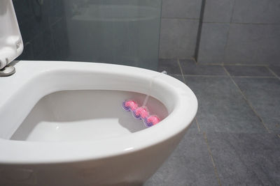 High angle view of pink flower in bathroom