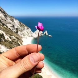 Close-up of hand holding flower against sea