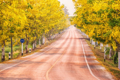 Road amidst trees in city during autumn