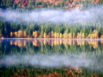 Scenic view of lake in forest during autumn