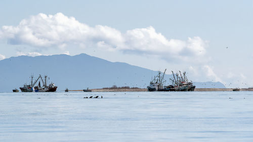 Fishing boats in sea against sky