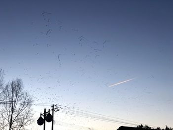 Low angle view of birds flying in sky