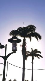 Low angle view of bird perching on street light