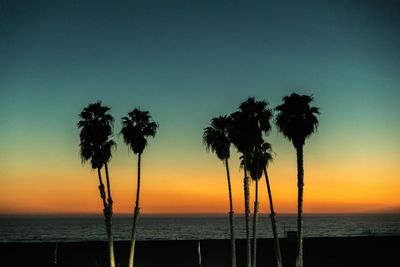 Silhouette palm trees on beach against sky during sunset