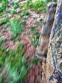 Full frame of tree trunk on wooden fence