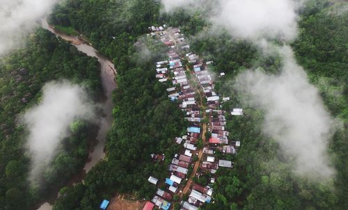 Aerial view of buildings amidst trees