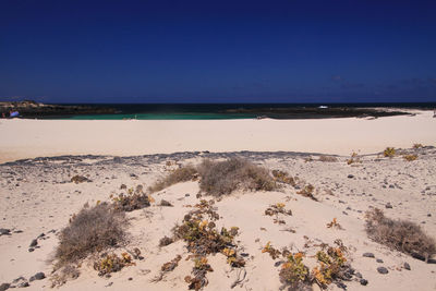 Scenic view of beach against clear blue sky