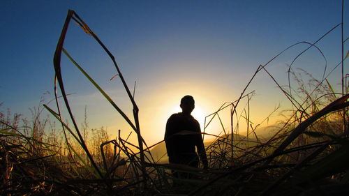 Rear view of silhouette man standing by sea against clear sky