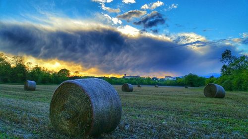 Scenic view of grassy field against cloudy sky