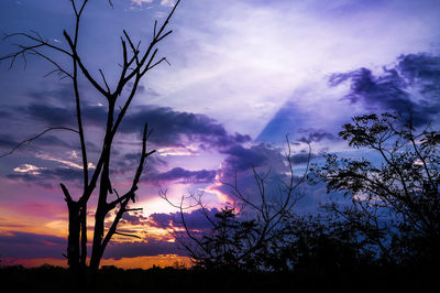 Low angle view of silhouette trees against sky during sunset