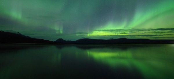 Scenic view of lake with aurora borealis against sky at night