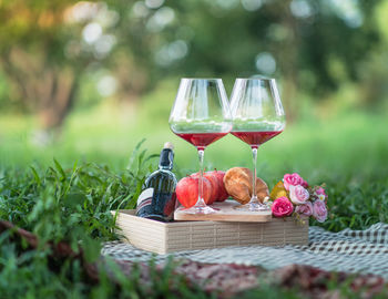 Red berries in basket