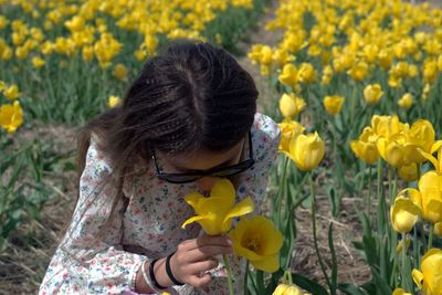 Low angle view of woman holding yellow flowering plants
