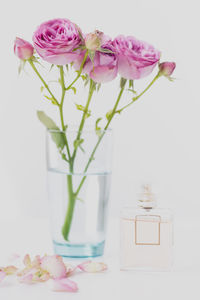 Close-up of pink roses in vase on table