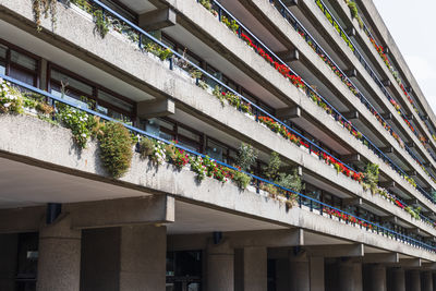 Barbican estate, london, uk - brutalist concrete terraces with colorful balconies and plants
