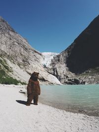 Bear standing at lakeshore against mountains during winter