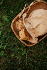 High angle view of woman standing on grassy field