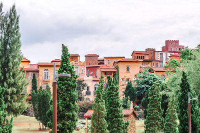 Trees and buildings against sky