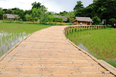 Boardwalk on field against sky