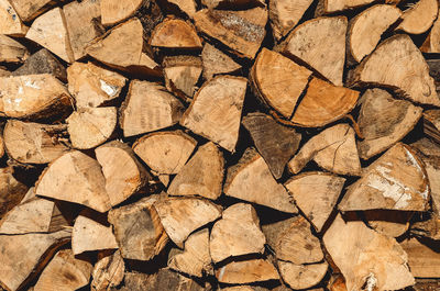 Stack of neatly stacked firewood is dried under a canopy in the open air. background for design. 