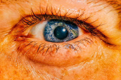 Close-up of human eye