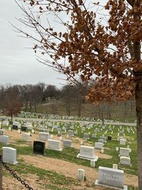 View of cemetery against sky