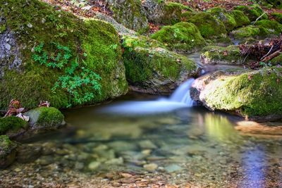 Stream flowing through rocks in forest