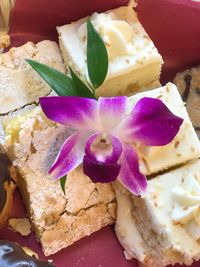 Close-up of salad in plate