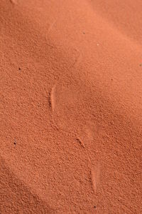 High angle view of footprints on sand