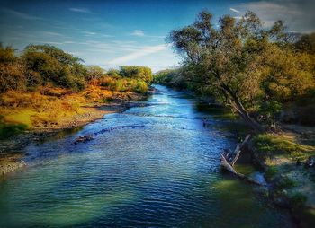 River amidst trees in forest against sky