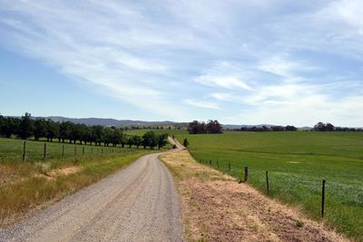 Dirt road amidst agricultural field against sky