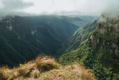 Fortaleza canyon with steep rocky cliffs and forest in a cloudy day near cambará do sul. brazil.