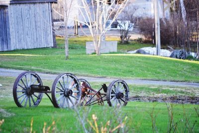 Bicycles parked in lawn