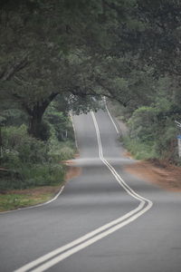 Empty road along trees and plants