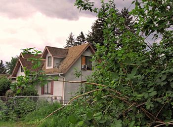 Low angle view of house and trees against sky