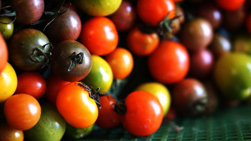 Close-up of tomatoes