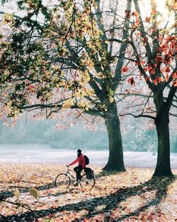 Man with umbrella on autumn tree