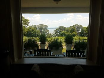 Trees and plants seen through window of house